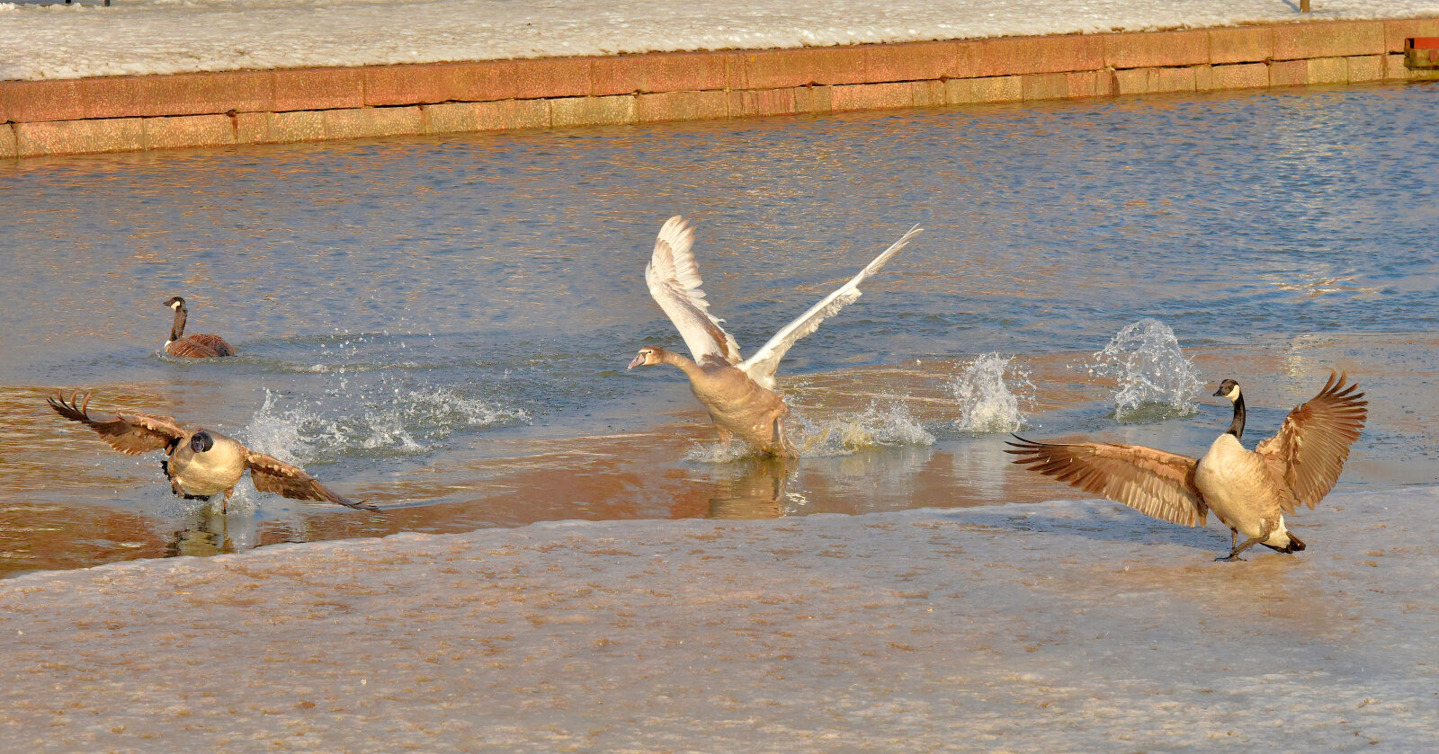 Valokuvaaja: Reijo Juurinen