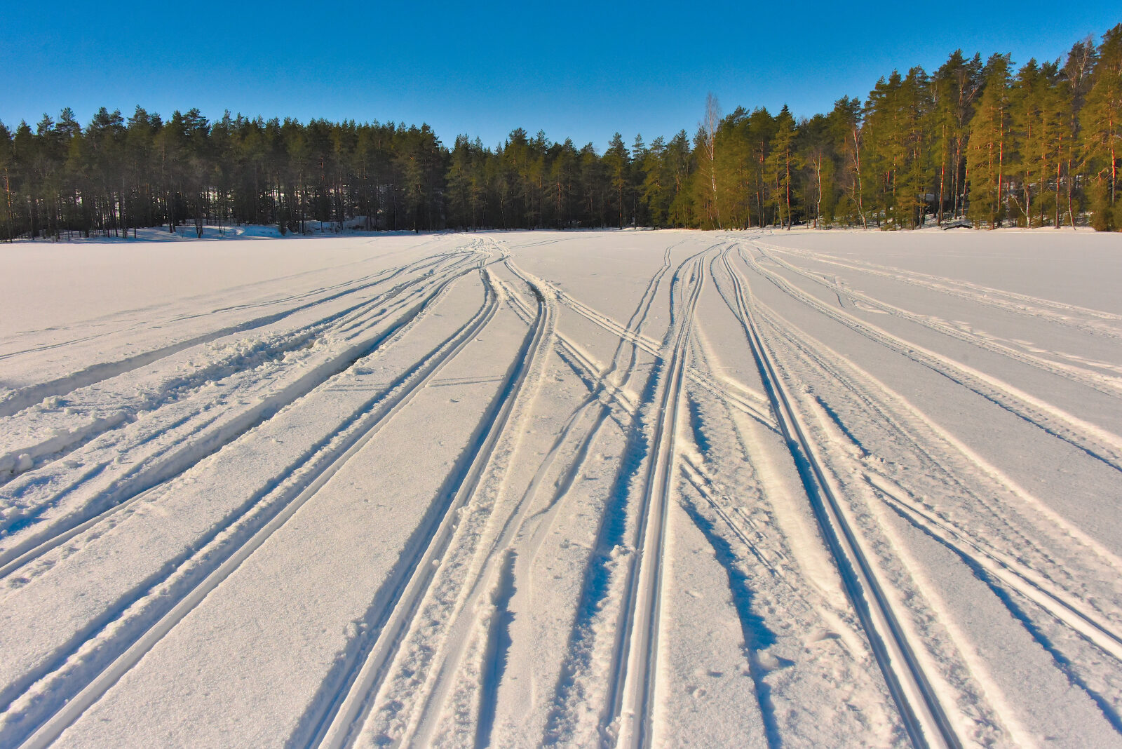 Valokuvaaja: Reijo Juurinen