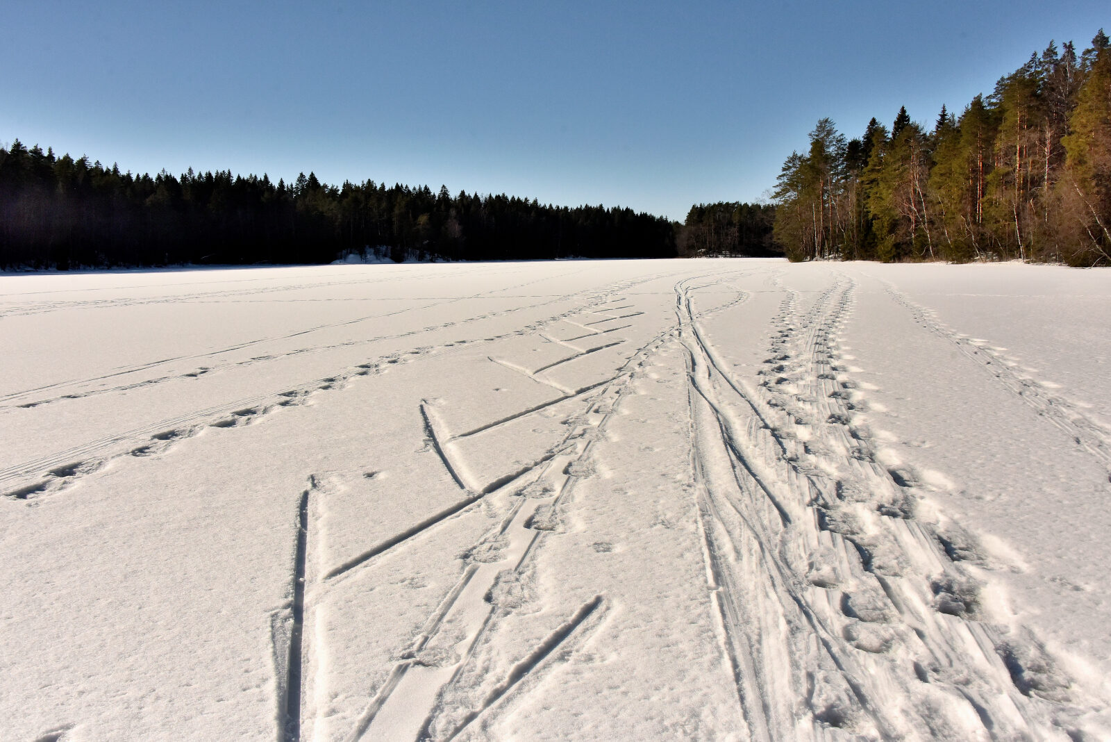 Valokuvaaja: Reijo Juurinen
