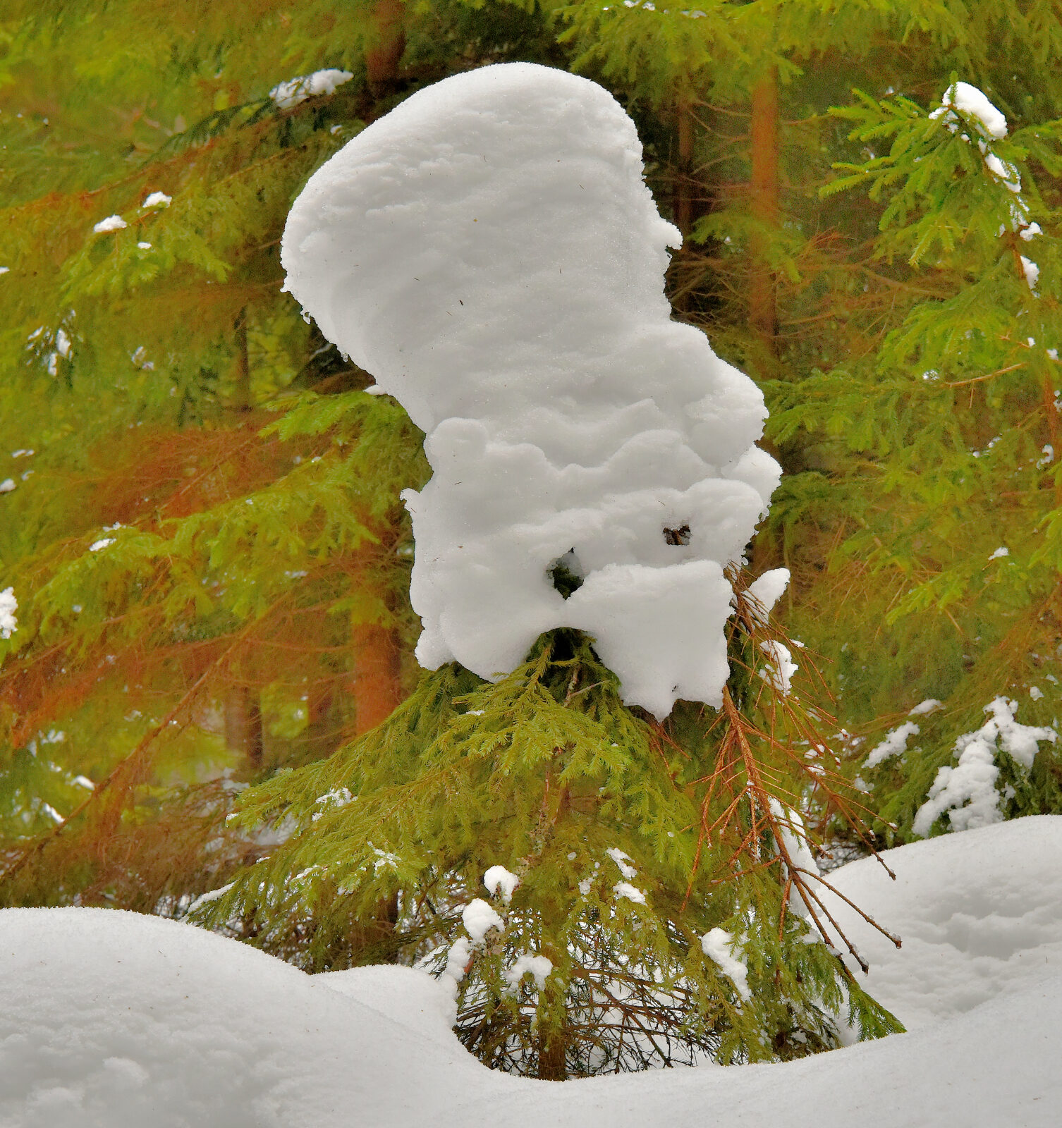 Valokuvaaja: Reijo Juurinen