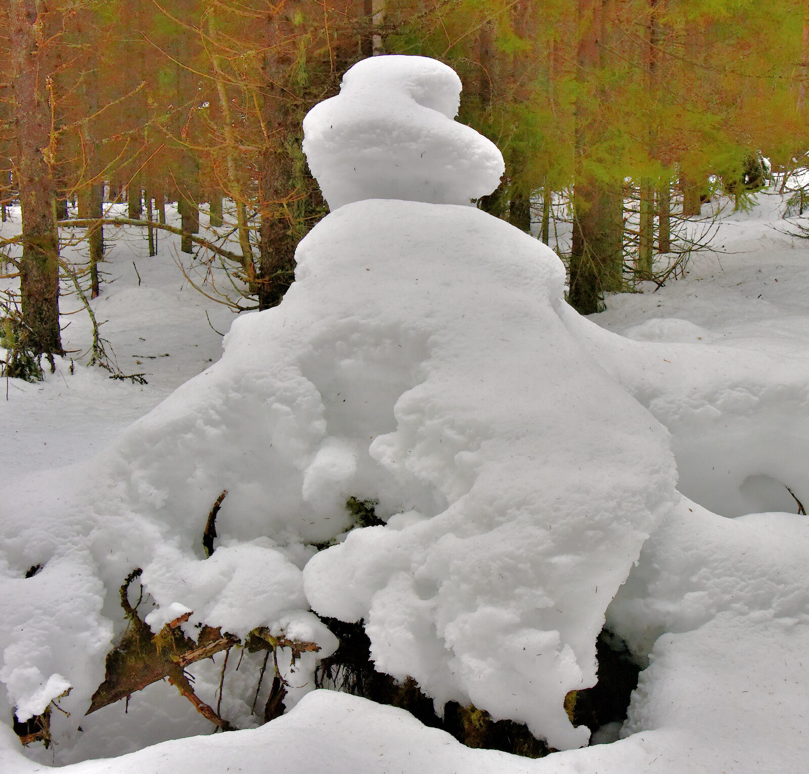 Valokuvaaja: Reijo Juurinen Valokuvaaja: Reijo Juurinen