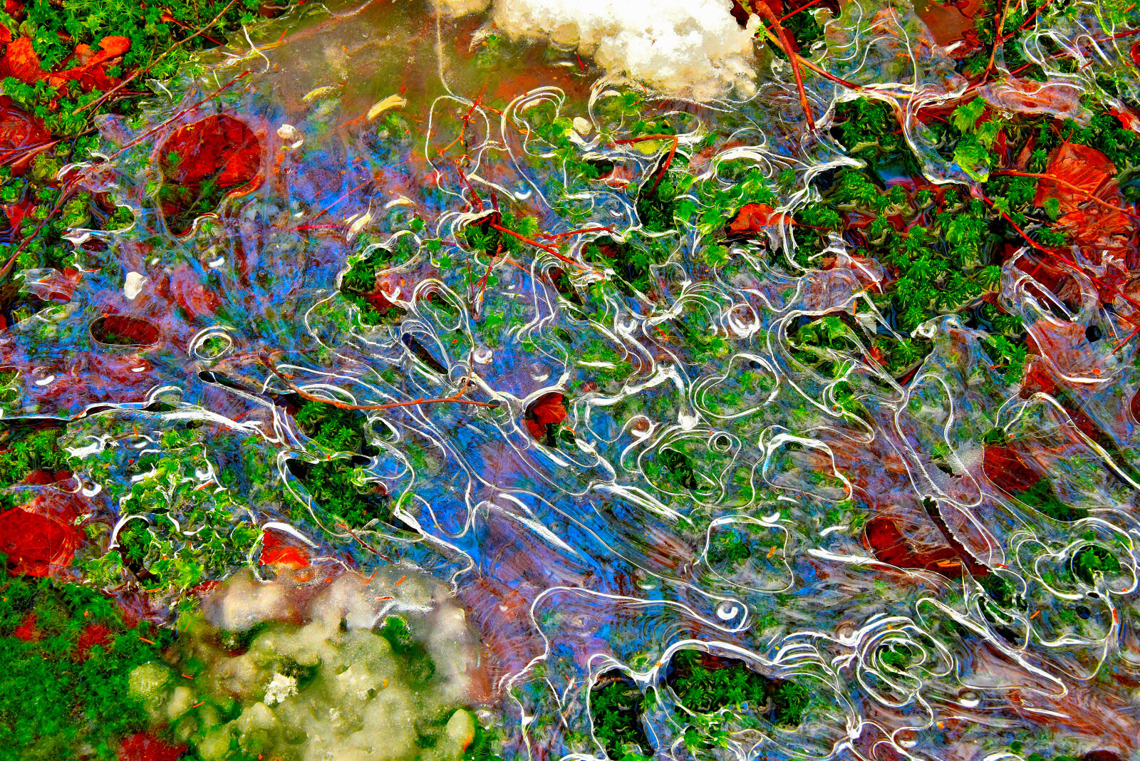 Valokuvaaja: Reijo Juurinen