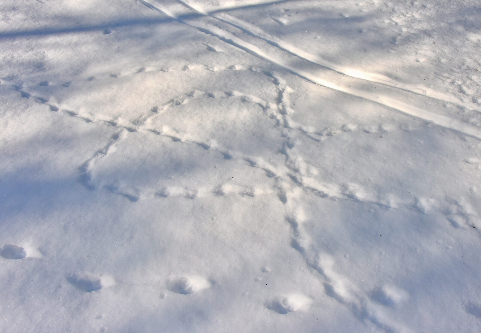 Valokuvaaja: Reijo Juurinen