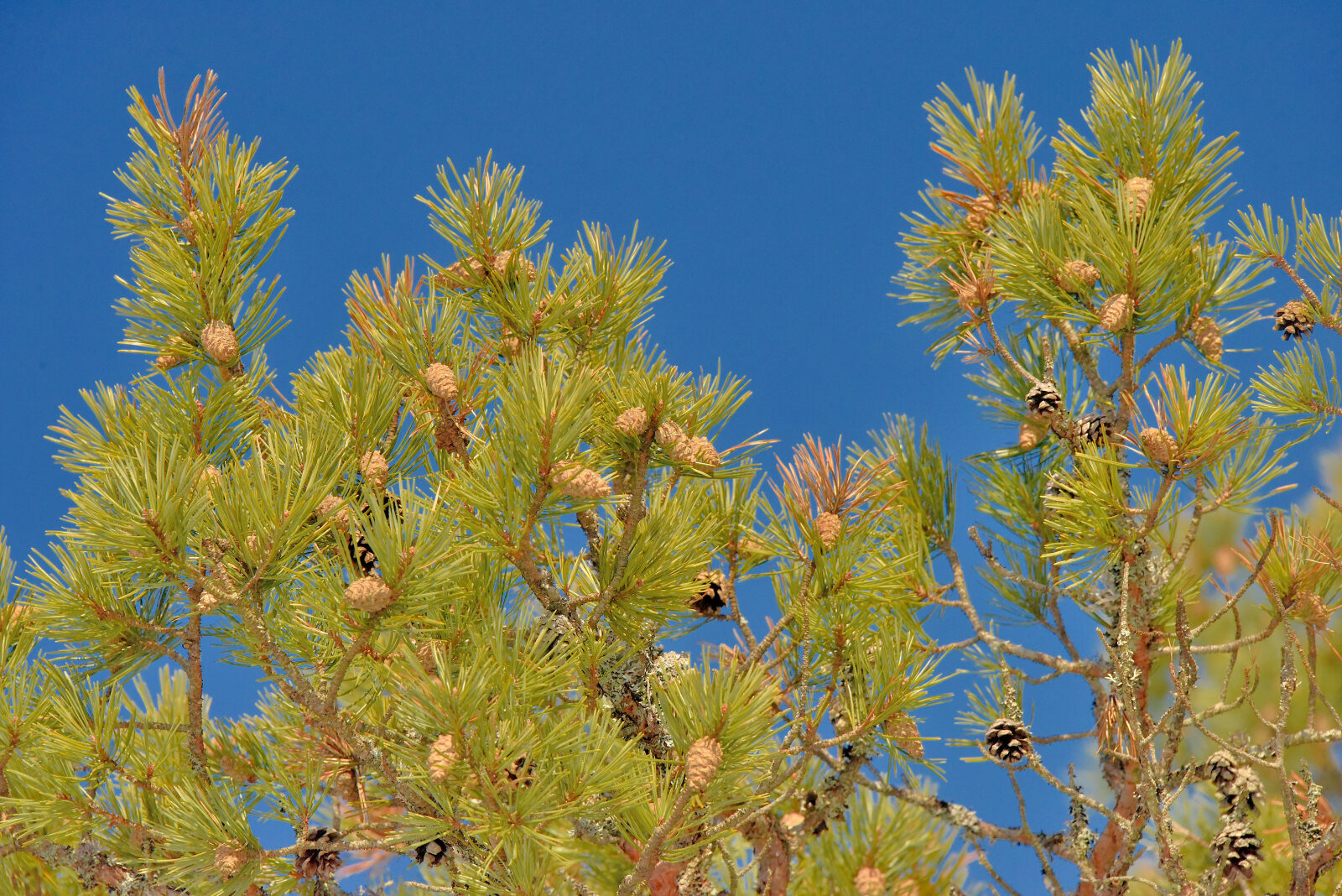 Valokuvaaja: Reijo Juurinen
