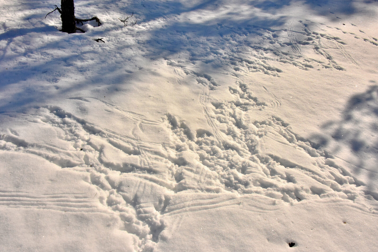 Valokuvaaja: Reijo Juurinen