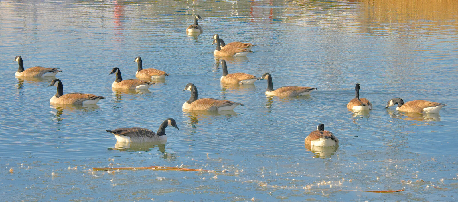 Valokuvaaja: Reijo Juurinen