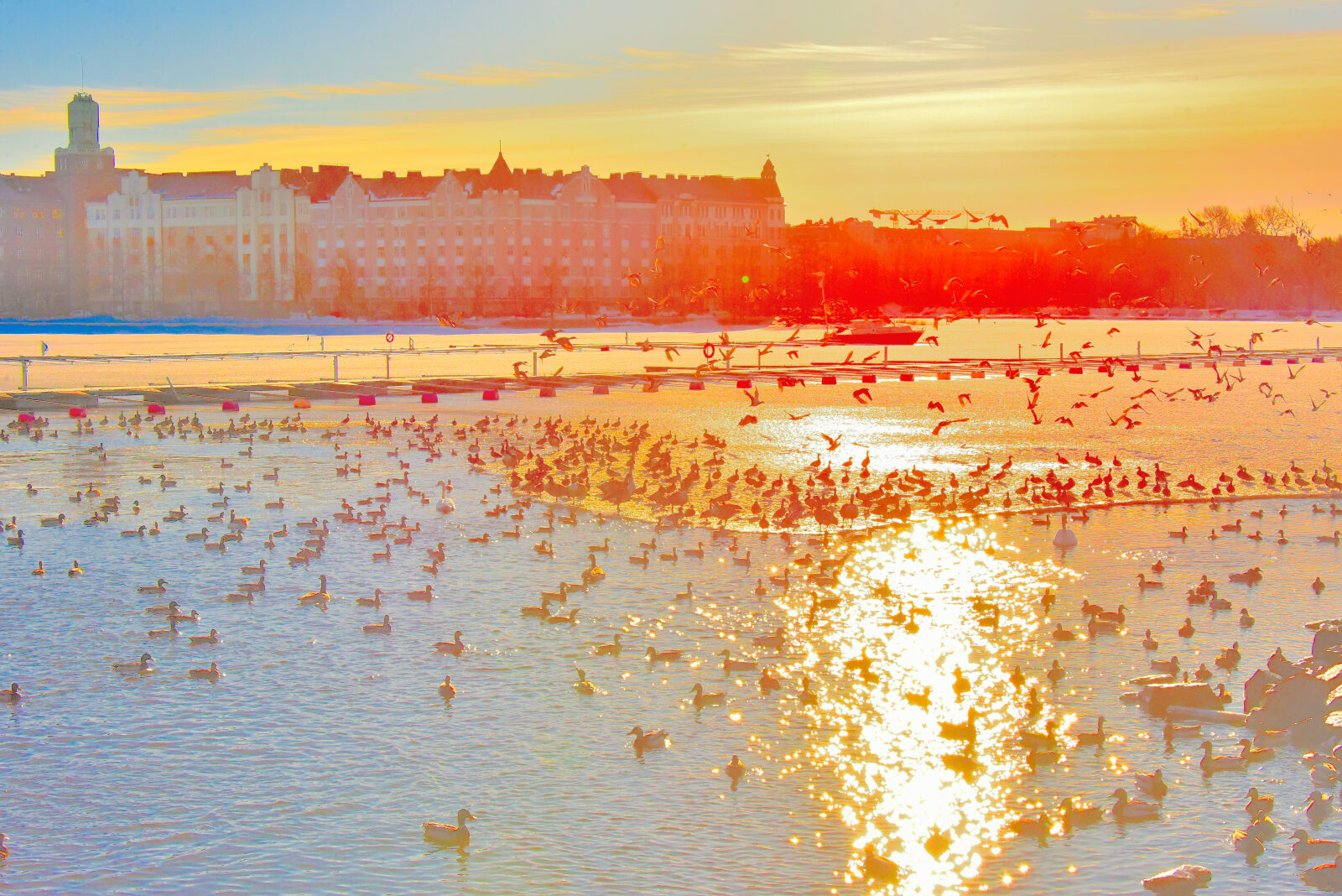 Valokuvaaja: Reijo Juurinen