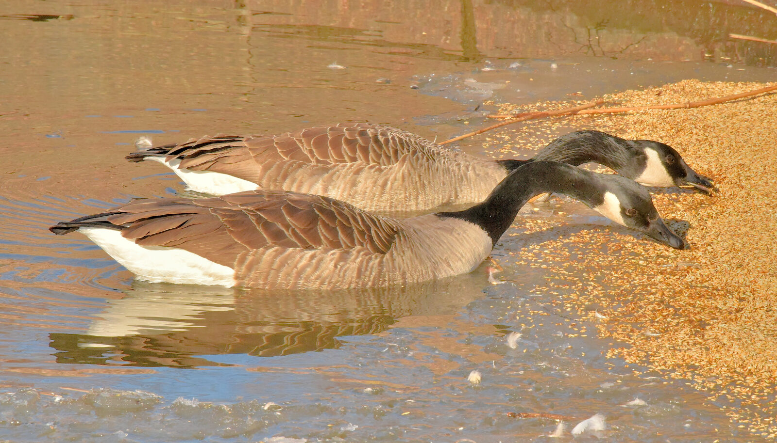 Valokuvaaja: Reijo Juurinen
