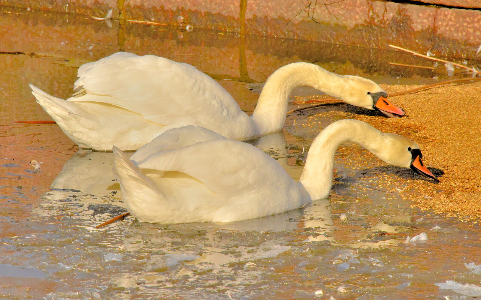 Valokuvaaja: Reijo Juurinen