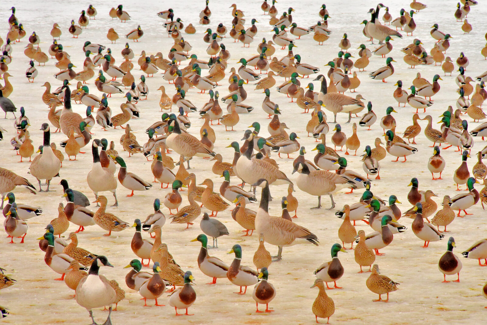 Valokuvaaja: Reijo Juurinen