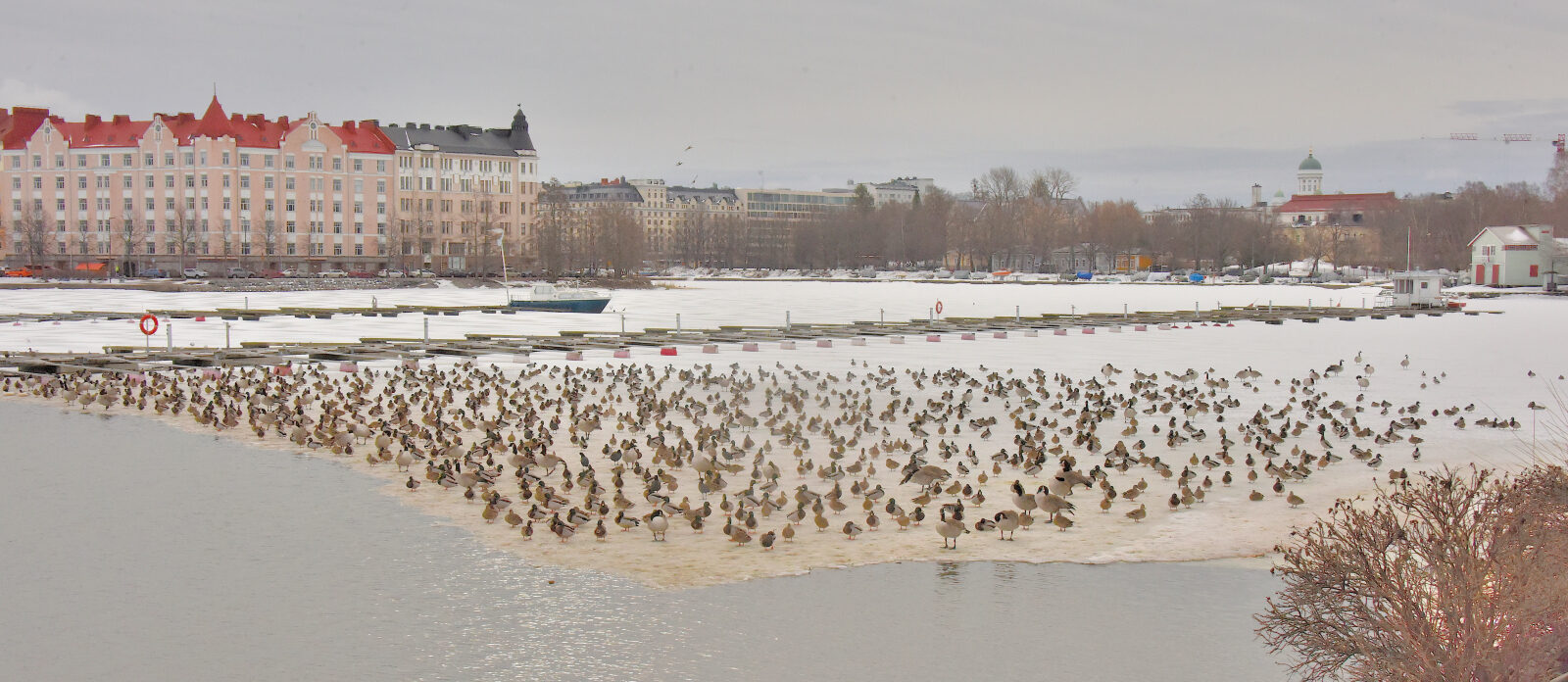 Valokuvaaja: Reijo Juurinen