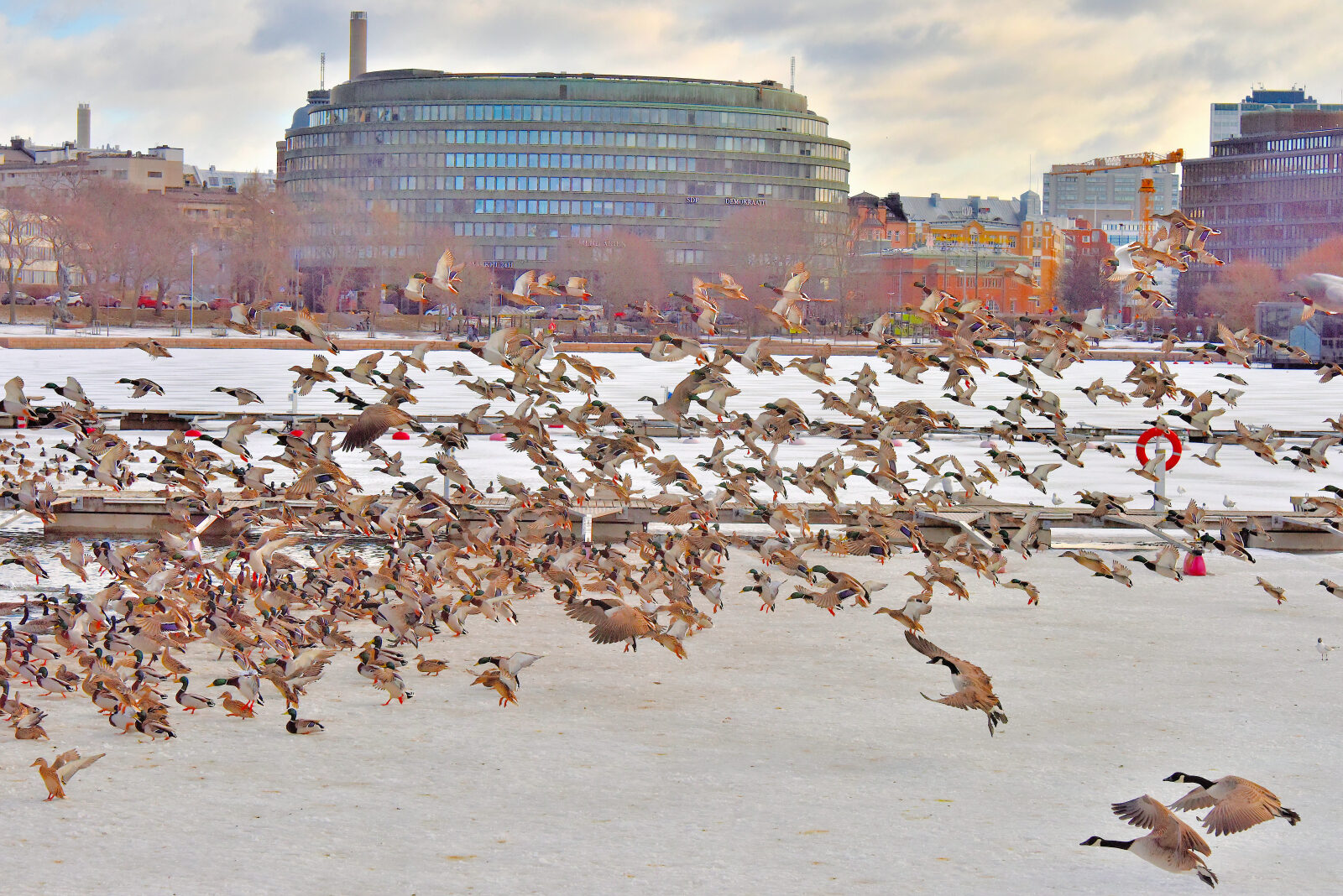 Valokuvaaja: Reijo Juurinen