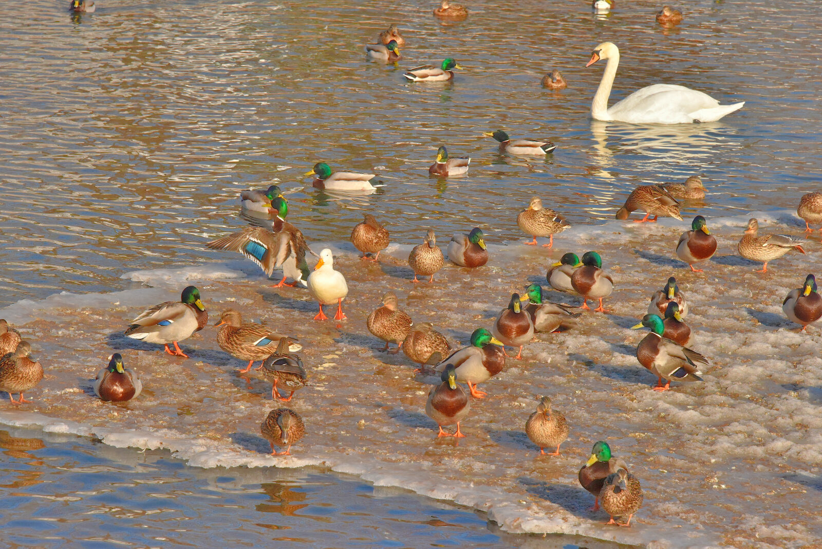 Valokuvaaja: Reijo Juurinen