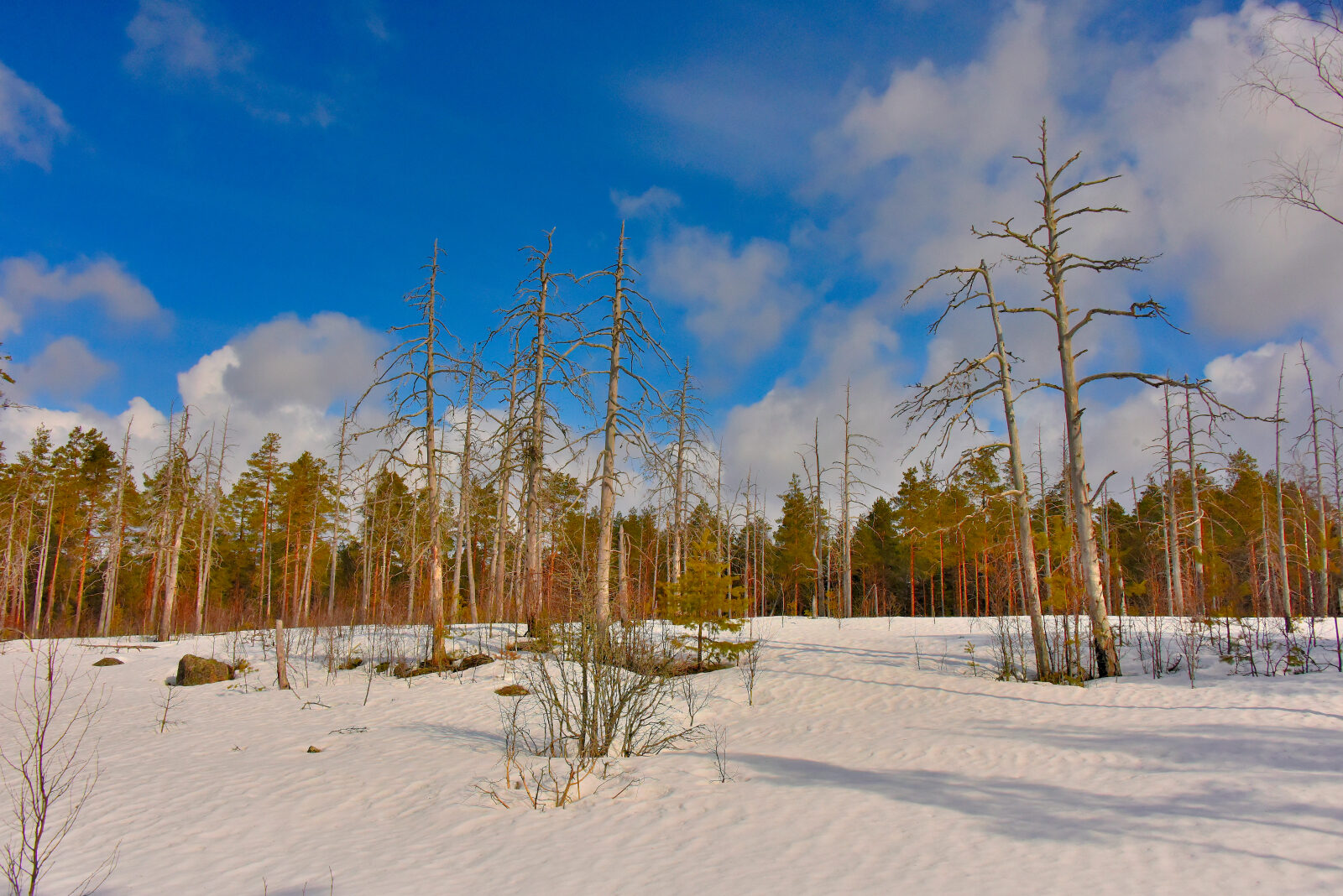 Valokuvaaja: Reijo Juurinen