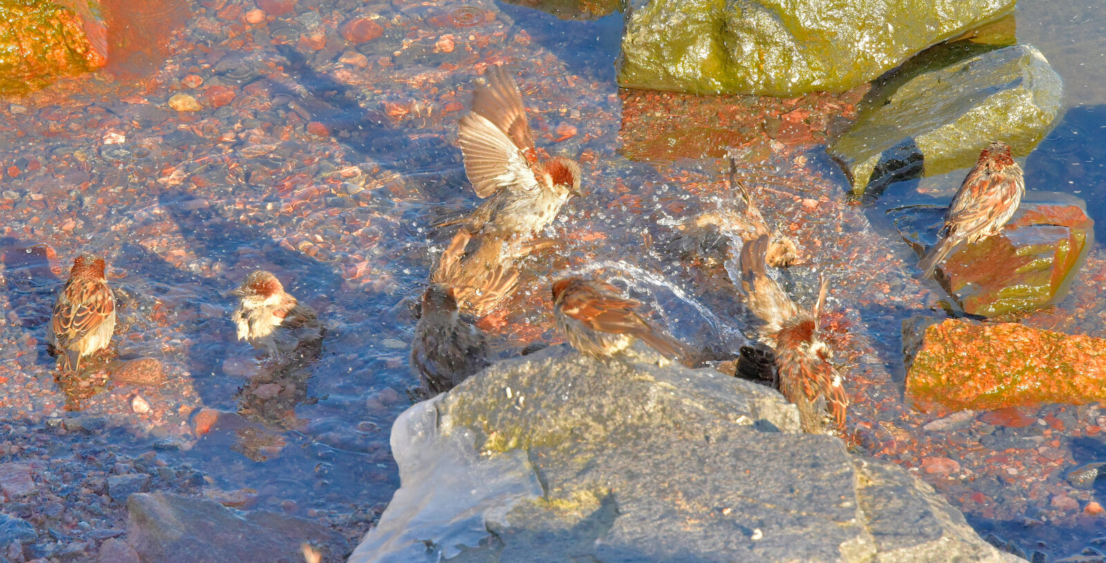 Valokuvaaja: Reijo Juurinen