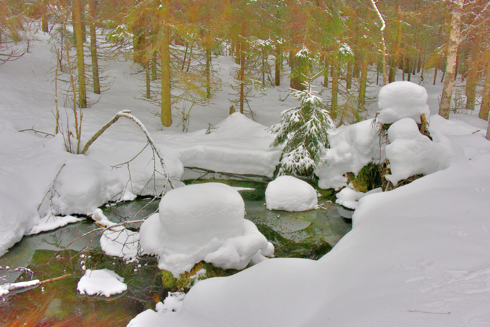 Valokuvaaja: Reijo Juurinen