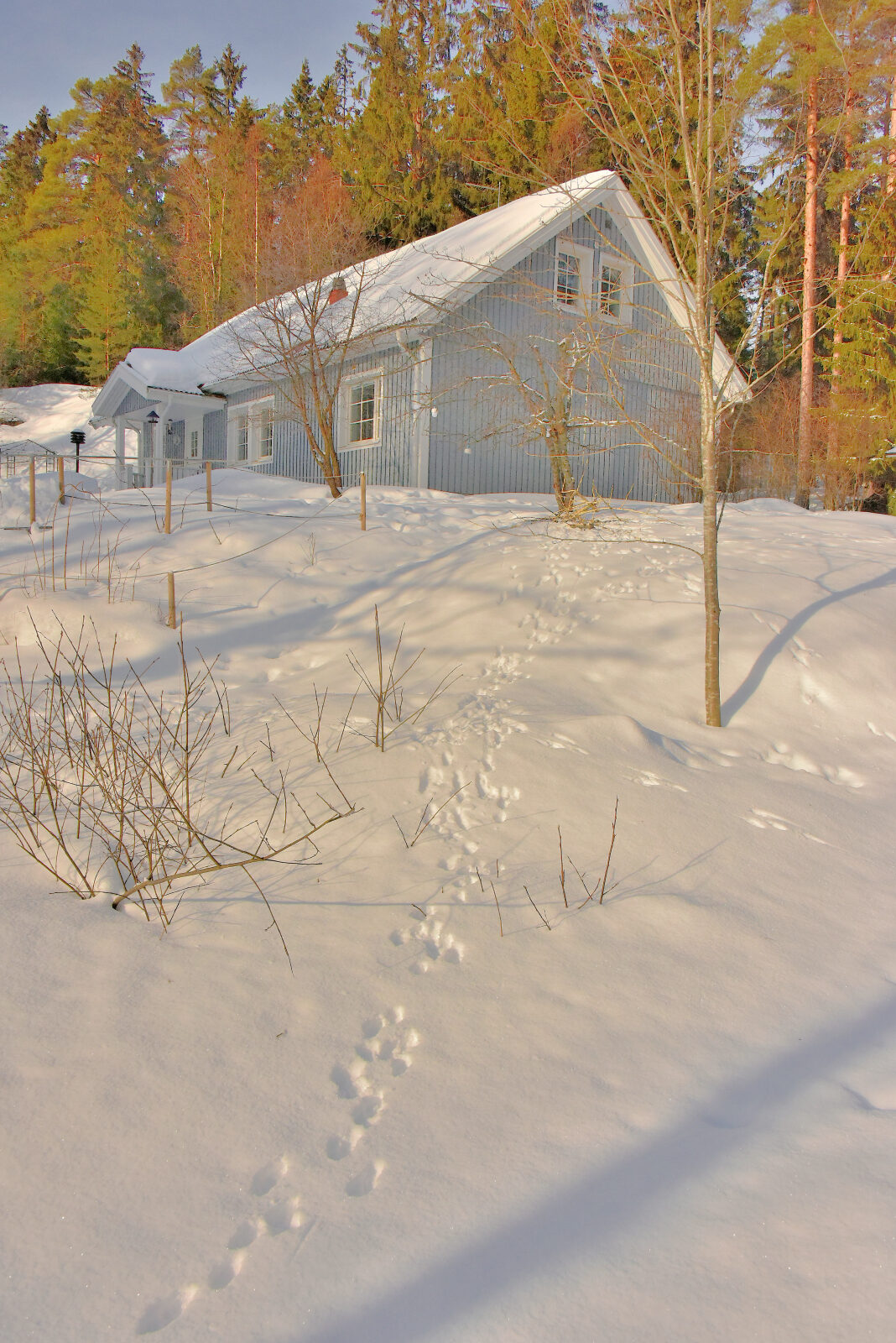 Valokuvaaja: Reijo Juurinen