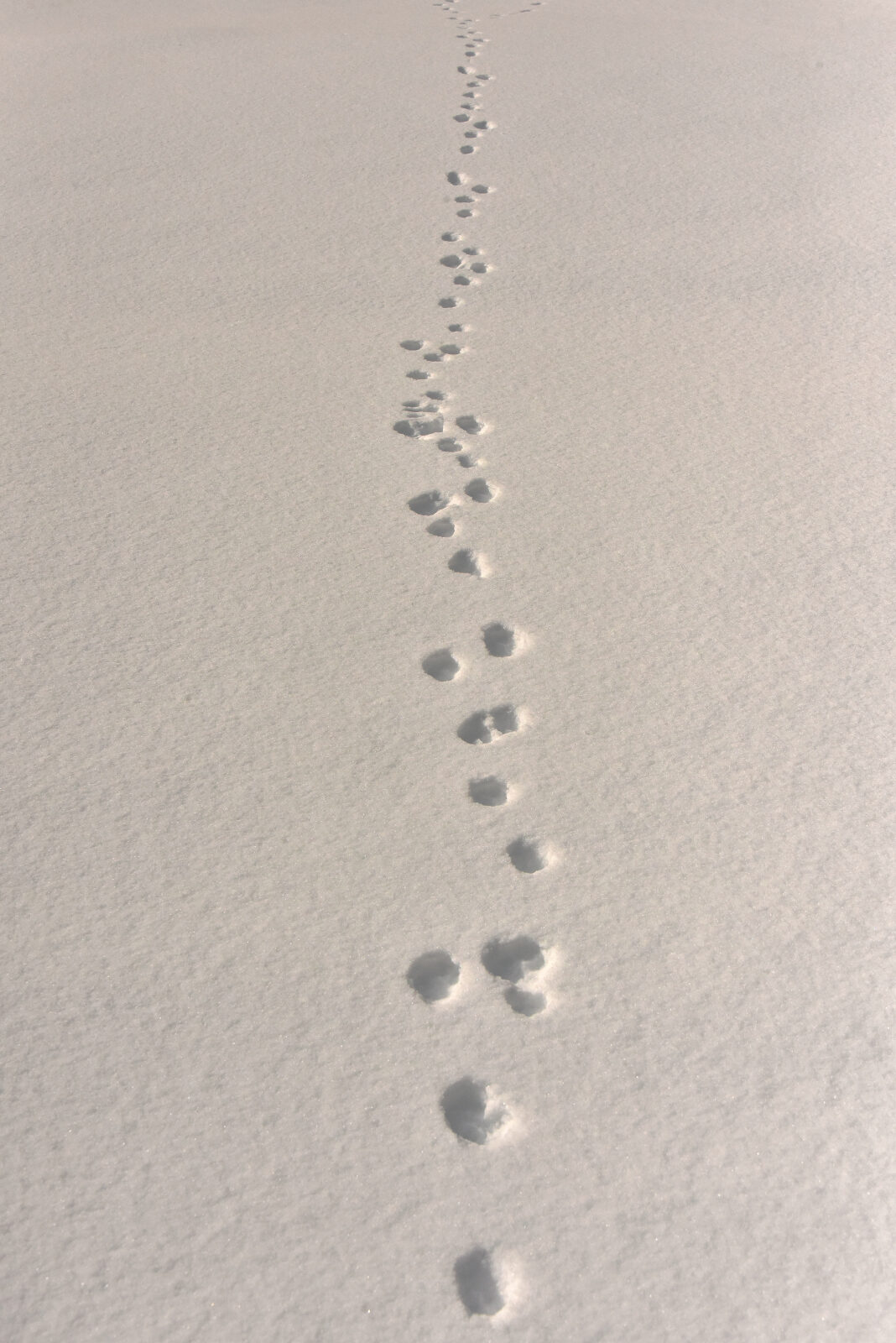 Valokuvaaja: Reijo Juurinen