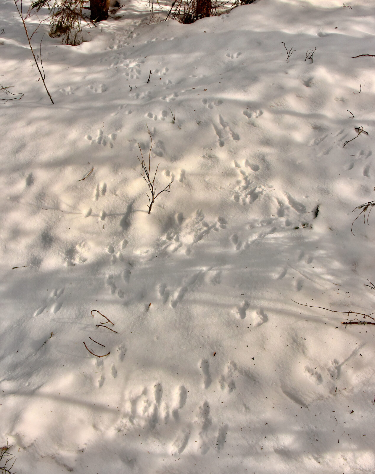 Valokuvaaja: Reijo Juurinen