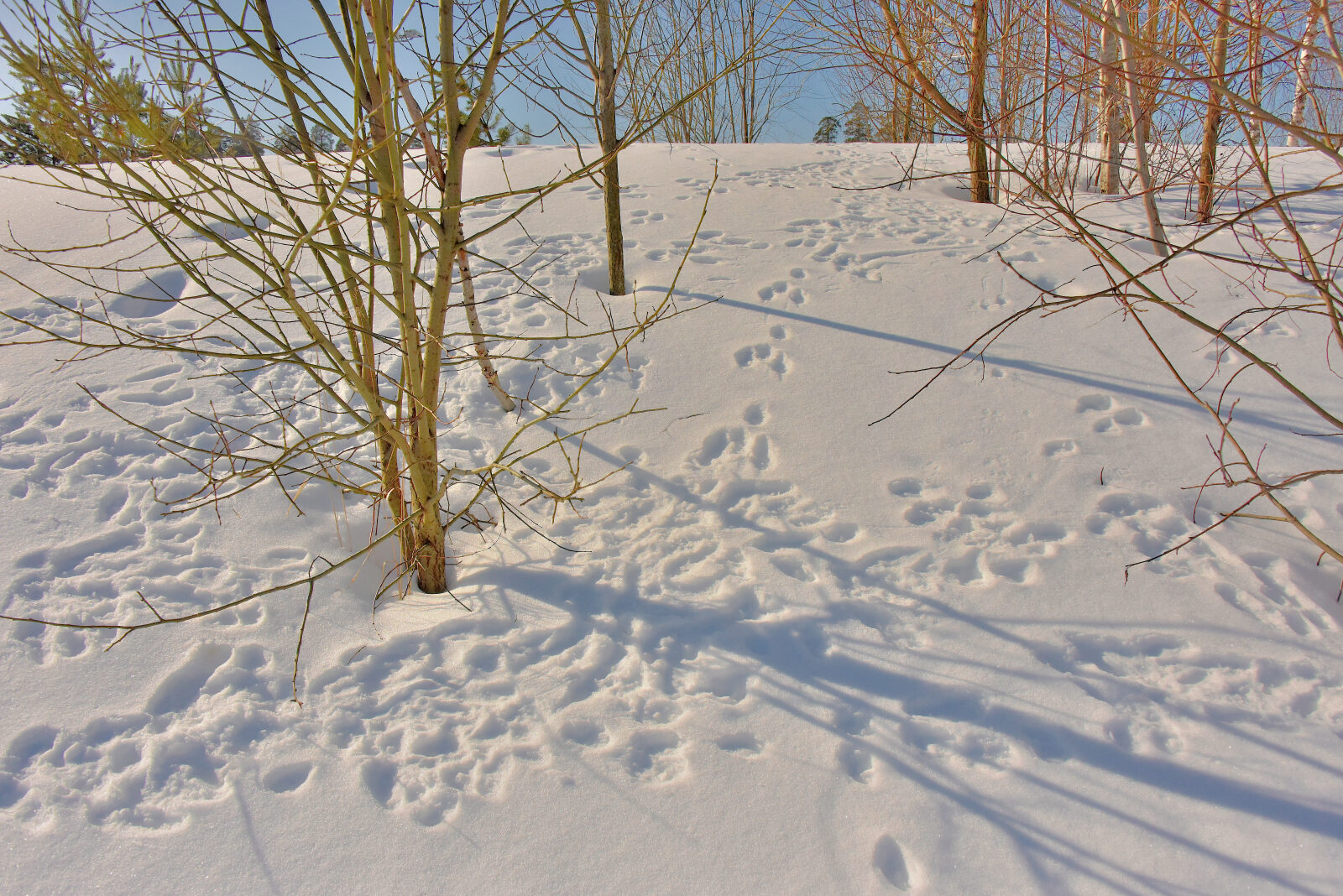 Valokuvaaja: Reijo Juurinen