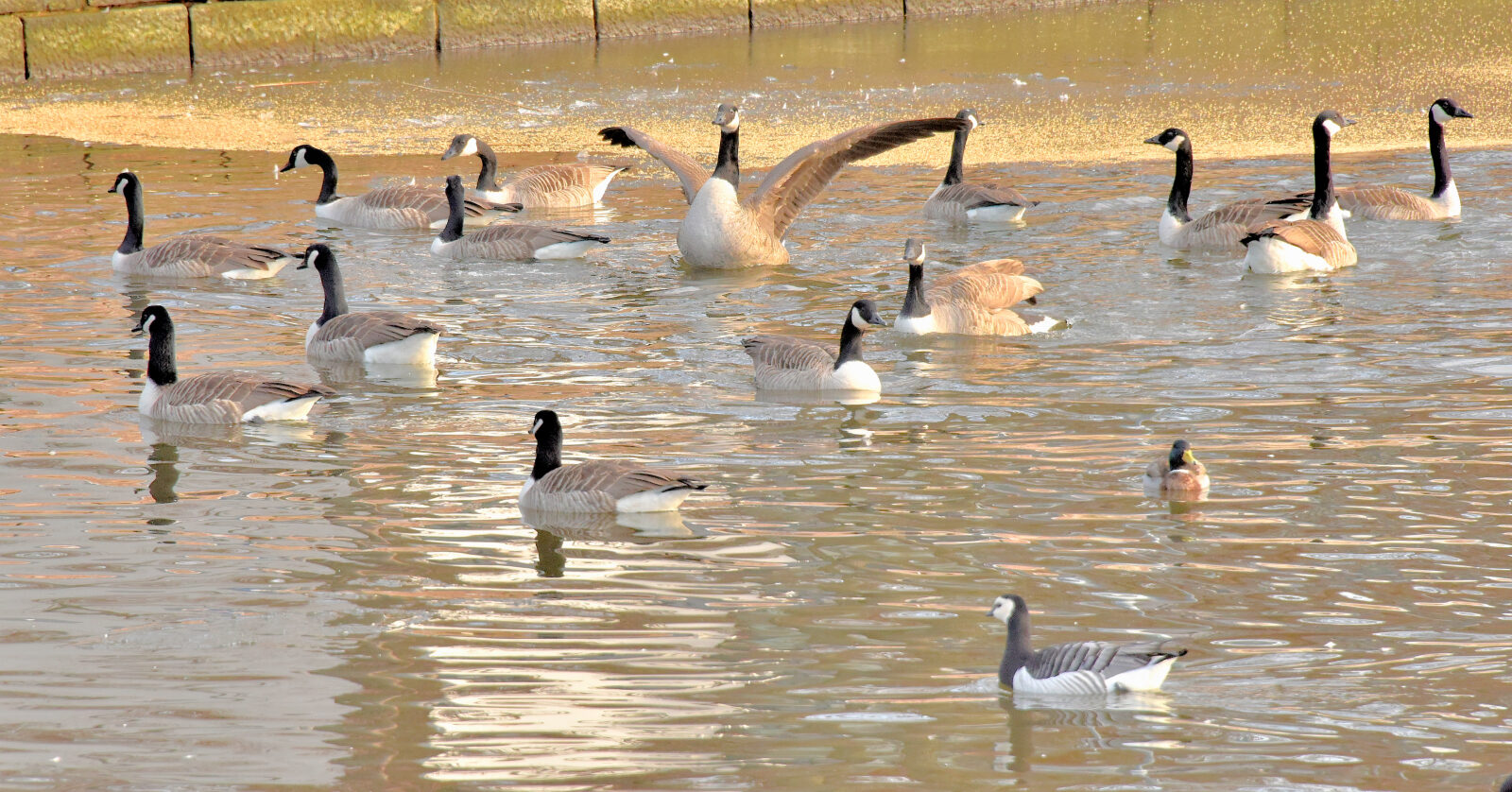 Valokuvaaja: Reijo Juurinen Valokuvaaja: Reijo Juurinen