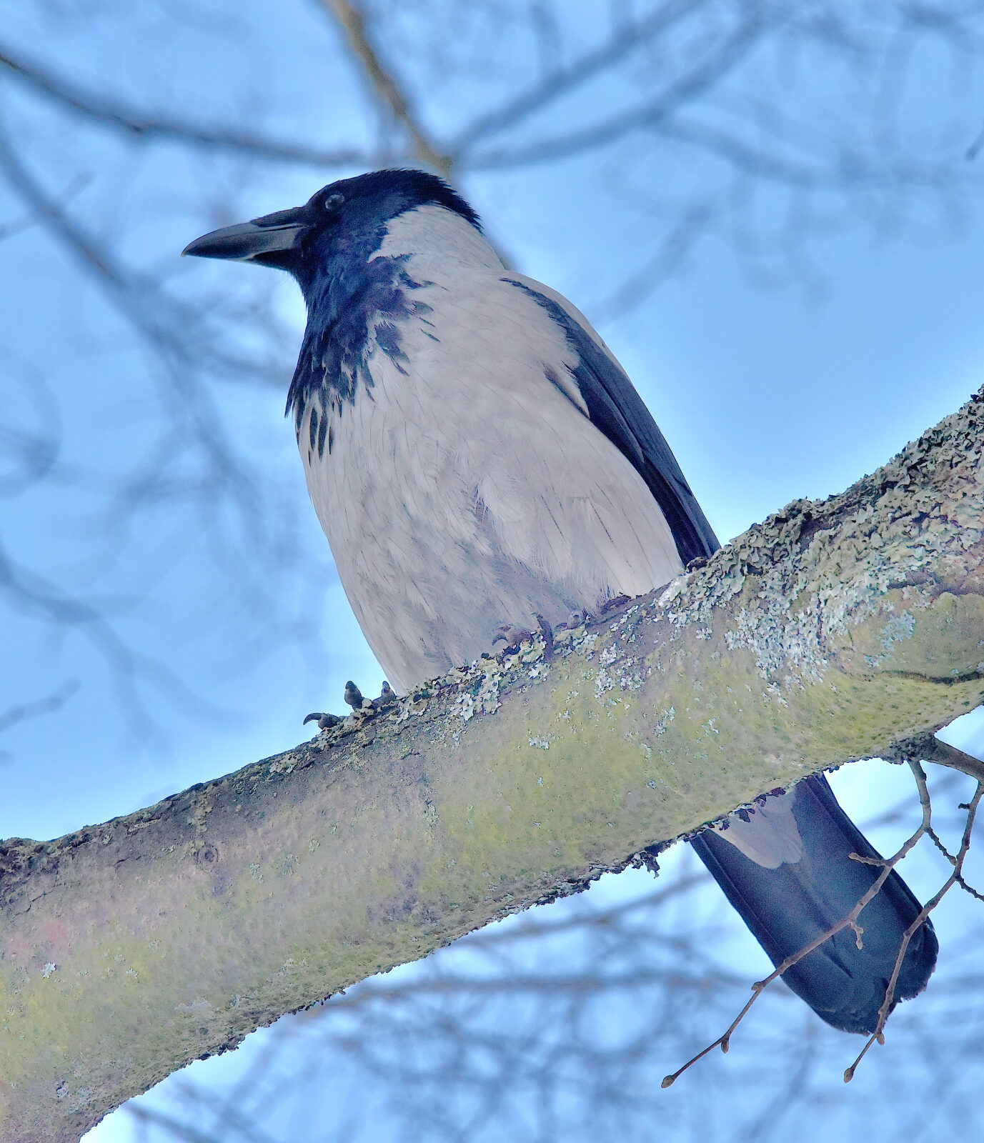 Valokuvaaja: Reijo Juurinen
