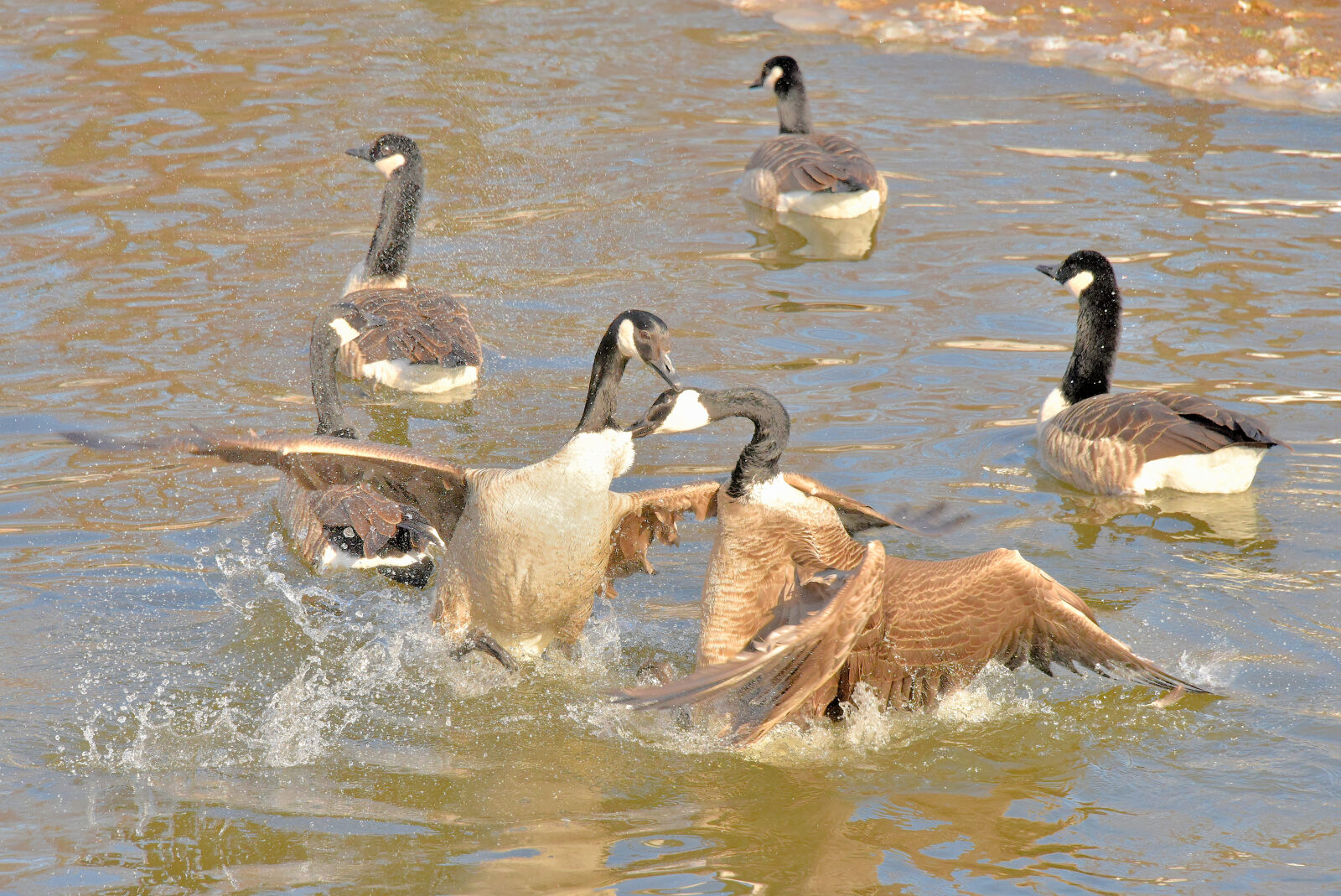 Valokuvaaja: Reijo Juurinen Valokuvaaja: Reijo Juurinen