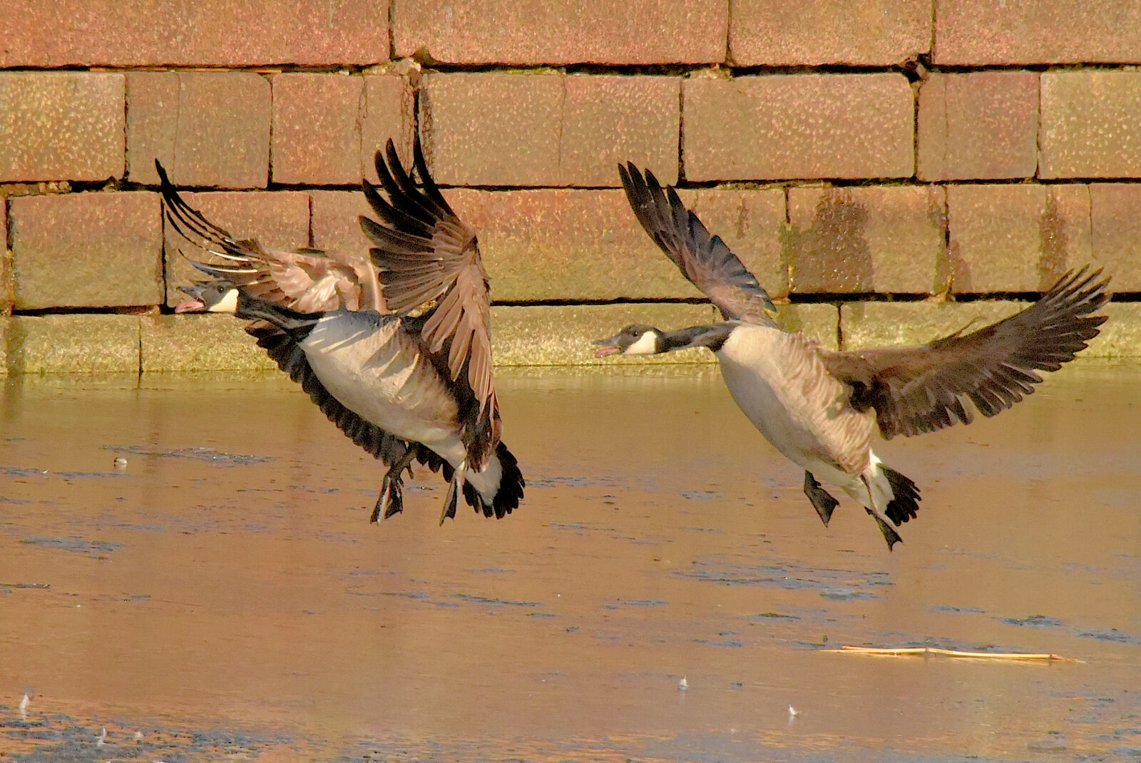 Valokuvaaja: Reijo Juurinen