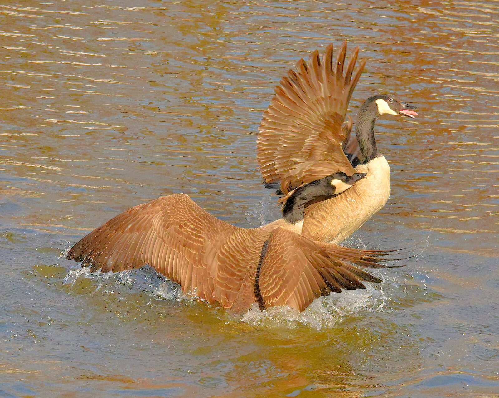 Valokuvaaja: Reijo Juurinen
