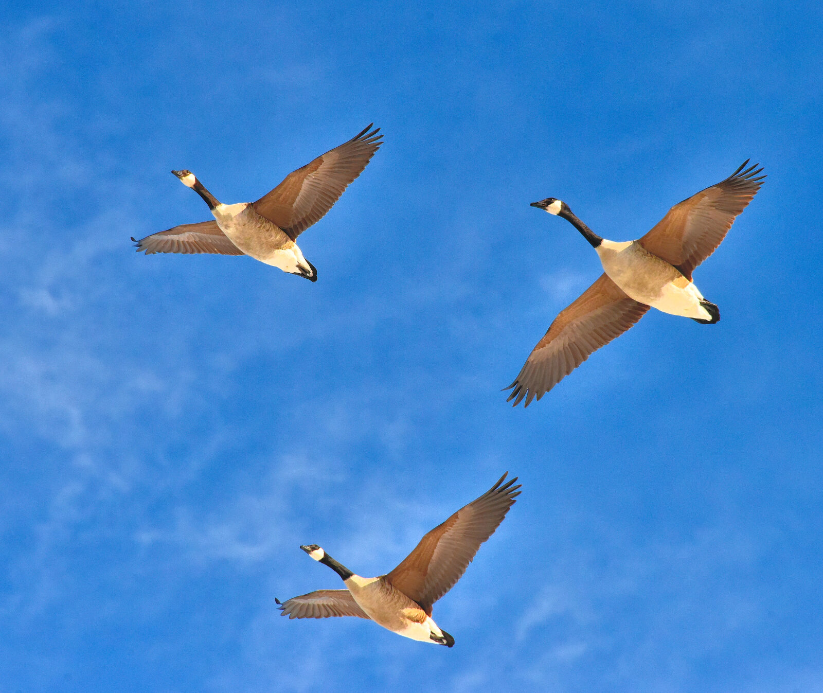 Valokuvaaja: Reijo Juurinen