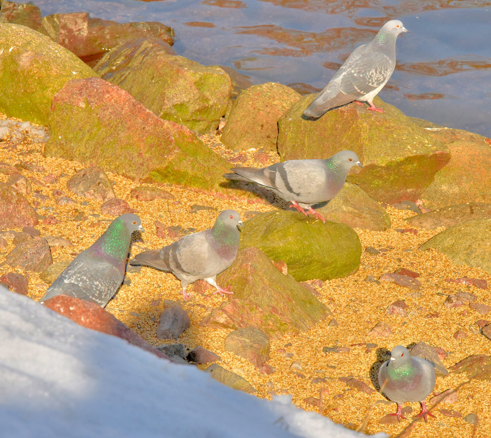 Valokuvaaja: Reijo Juurinen