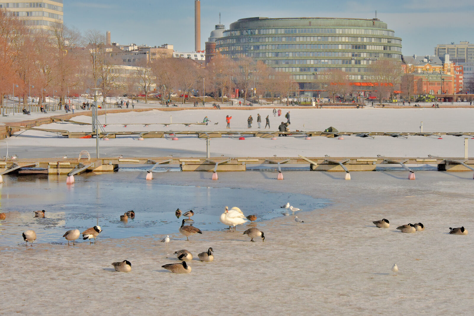 Valokuvaaja: Reijo Juurinen Valokuvaaja: Reijo Juurinen
