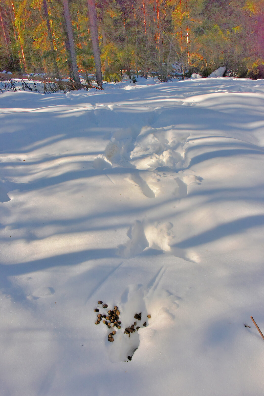 Valokuvaaja: Reijo Juurinen