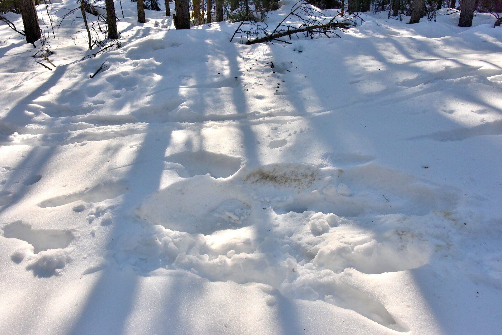 Valokuvaaja: Reijo Juurinen