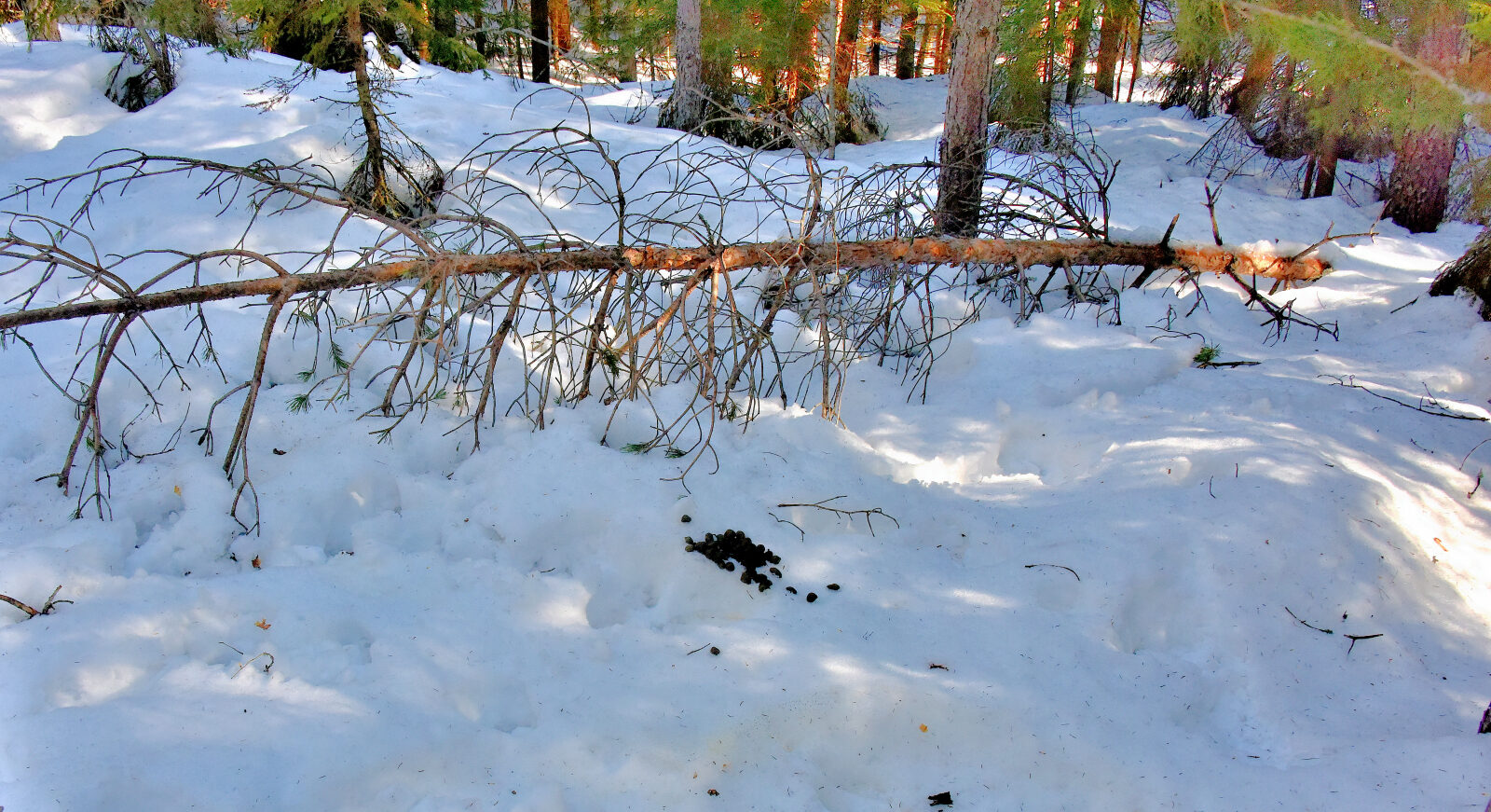 Valokuvaaja: Reijo Juurinen