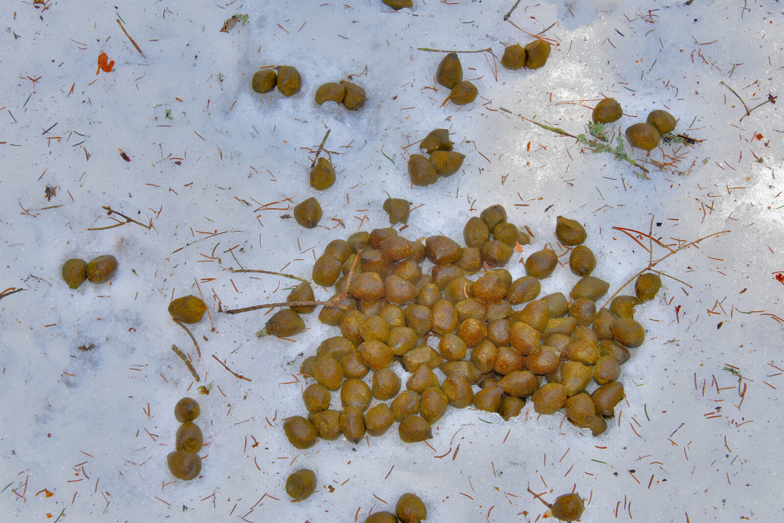 Valokuvaaja: Reijo Juurinen