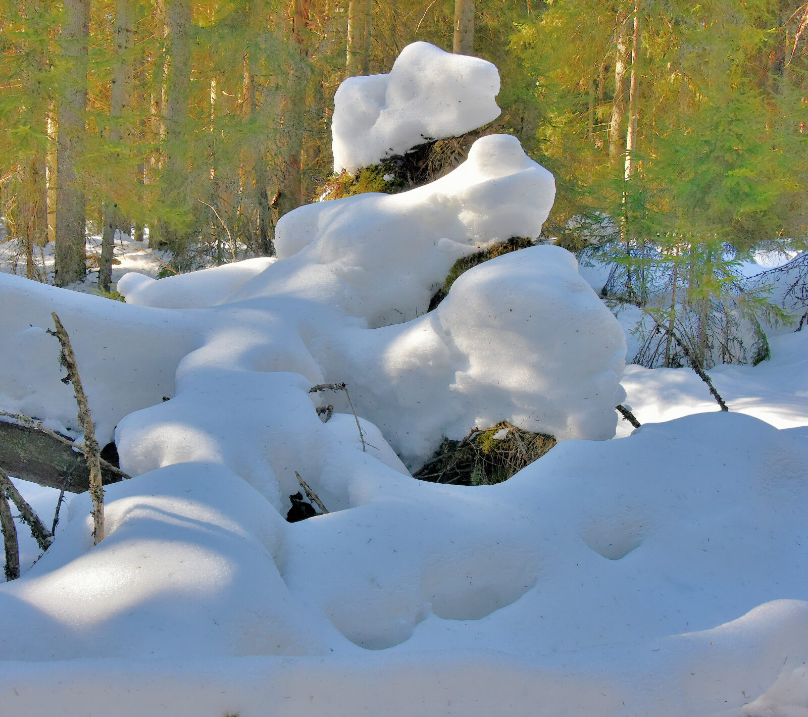 Valokuvaaja: Reijo Juurinen