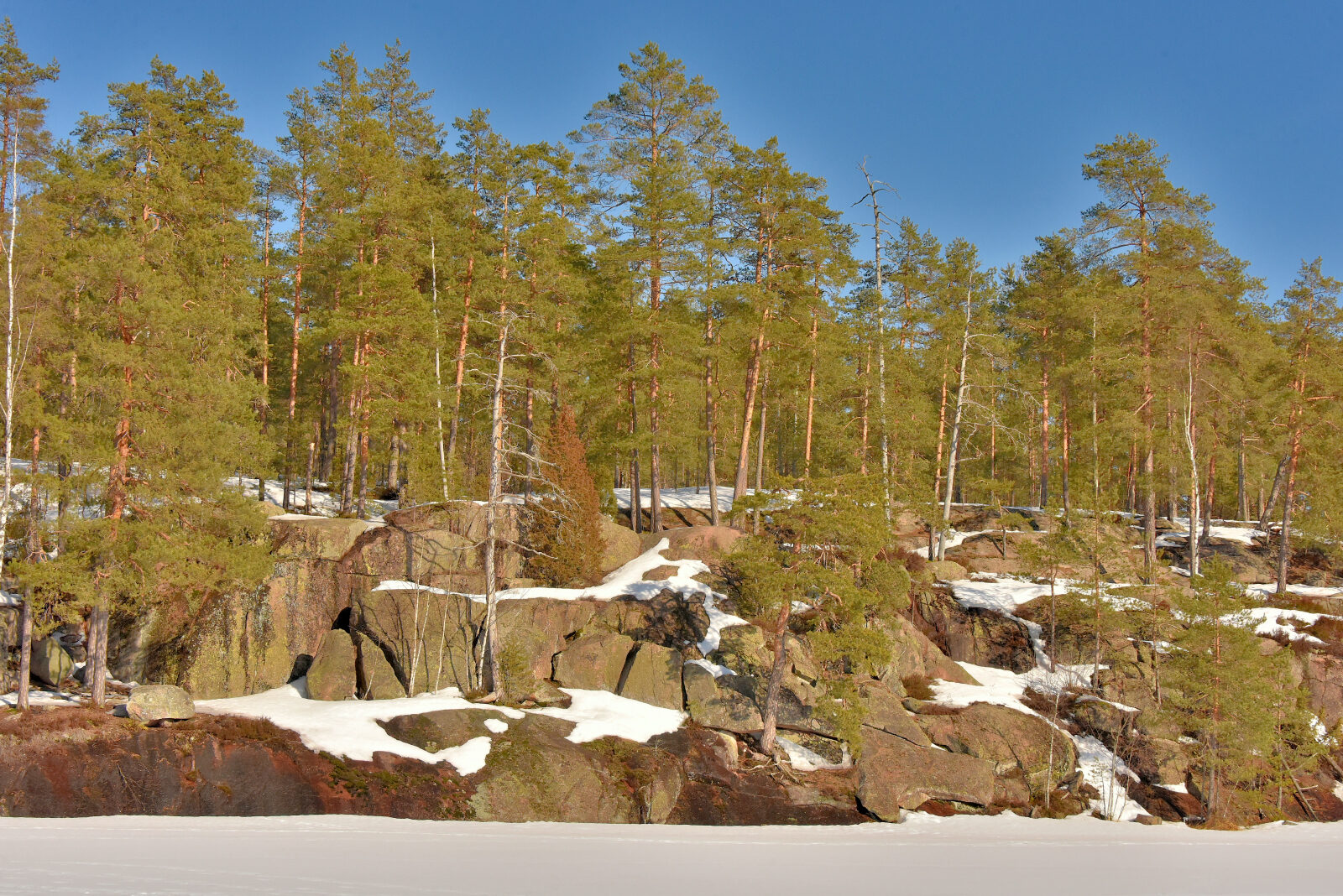 Valokuvaaja: Reijo Juurinen