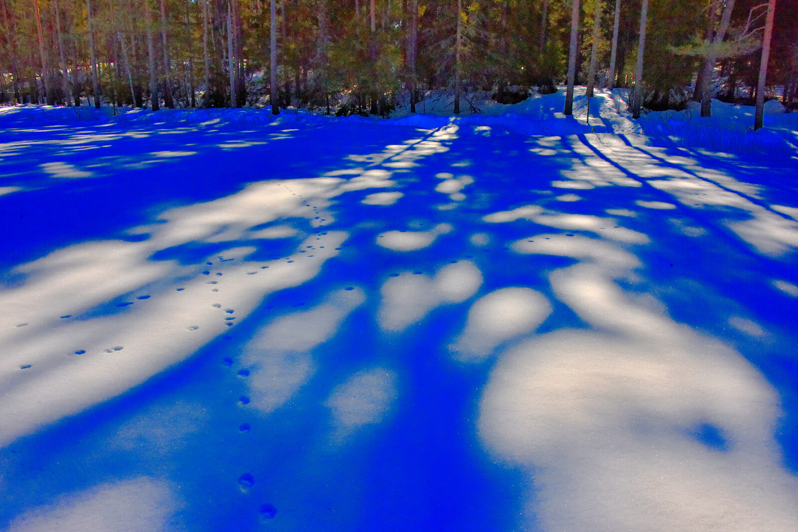 Valokuvaaja: Reijo Juurinen