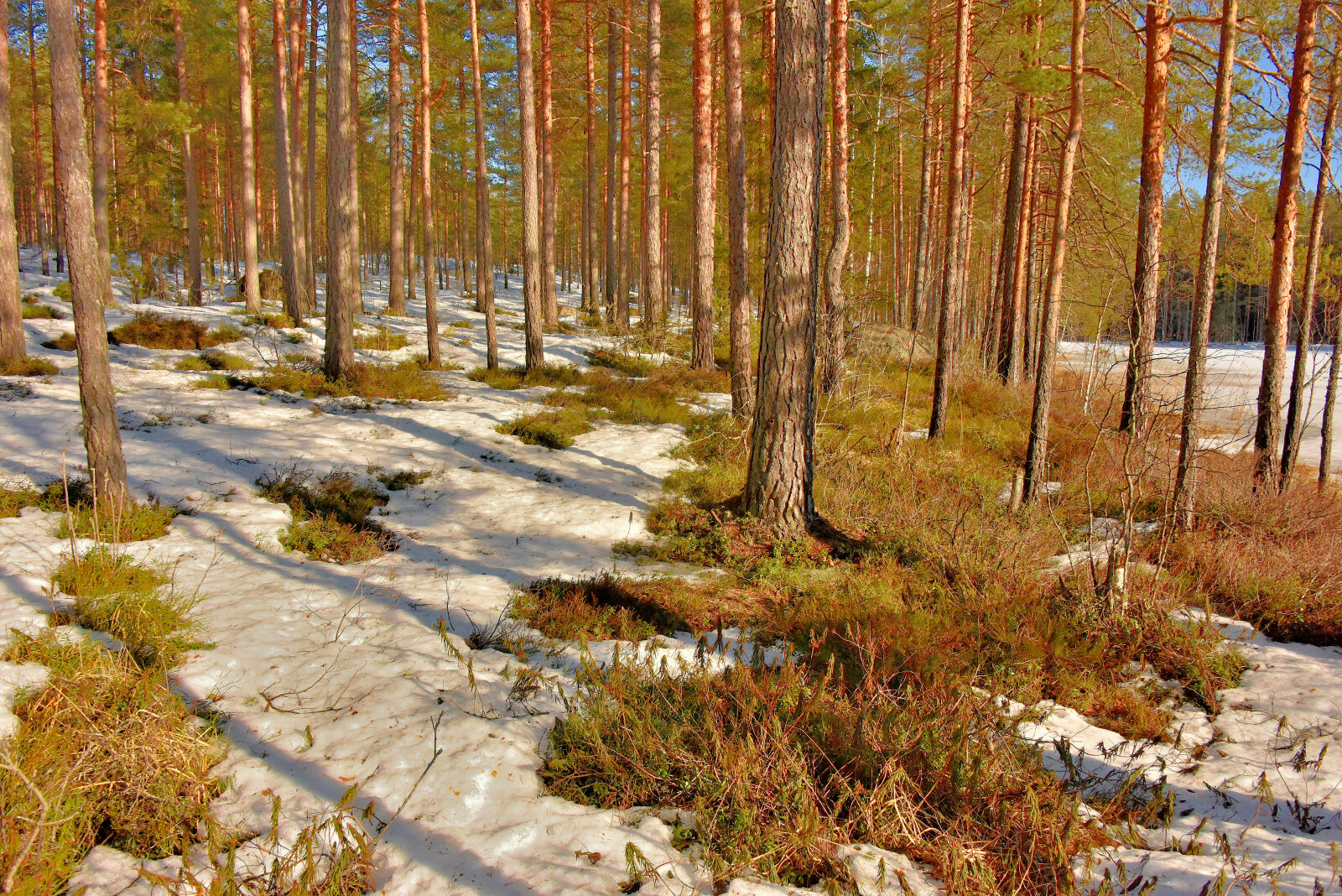 Valokuvaaja: Reijo Juurinen