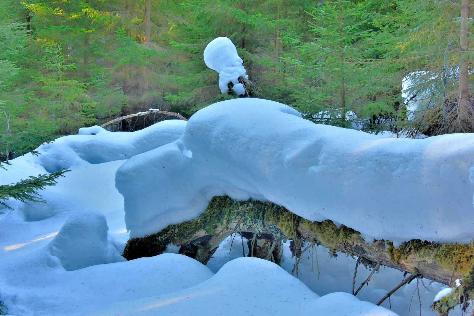 Valokuvaaja: Reijo Juurinen