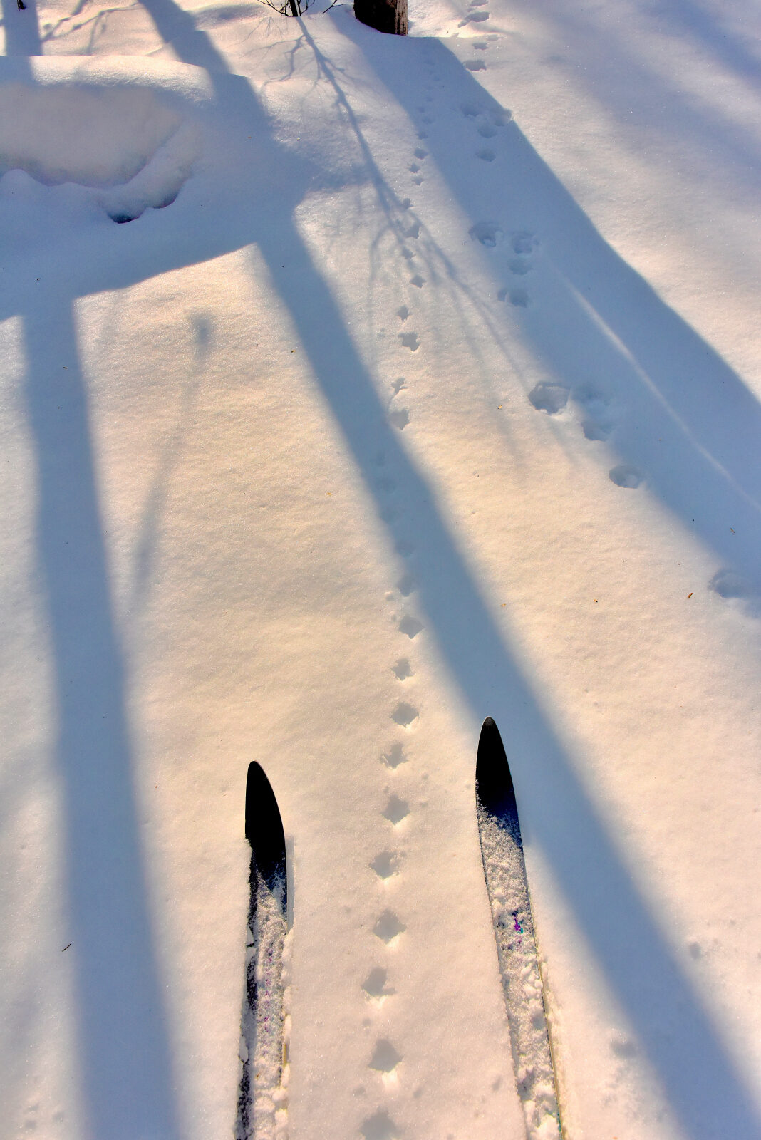 Valokuvaaja: Reijo Juurinen