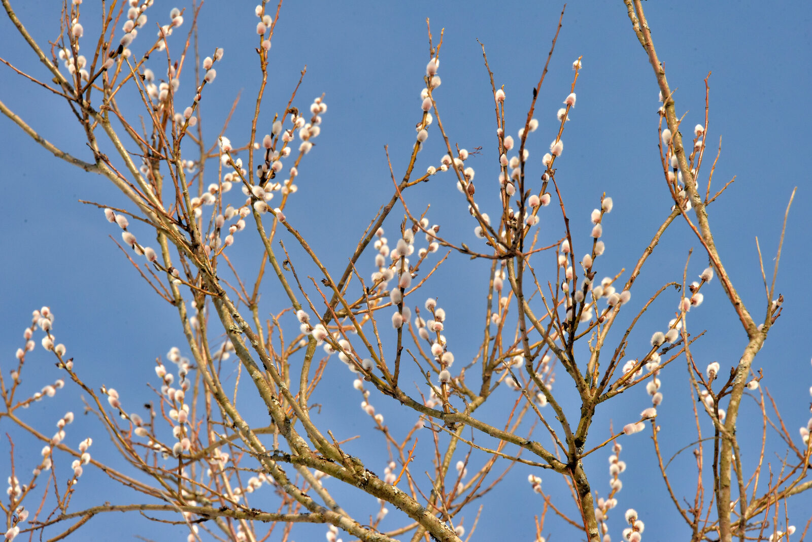 Valokuvaaja: Reijo Juurinen