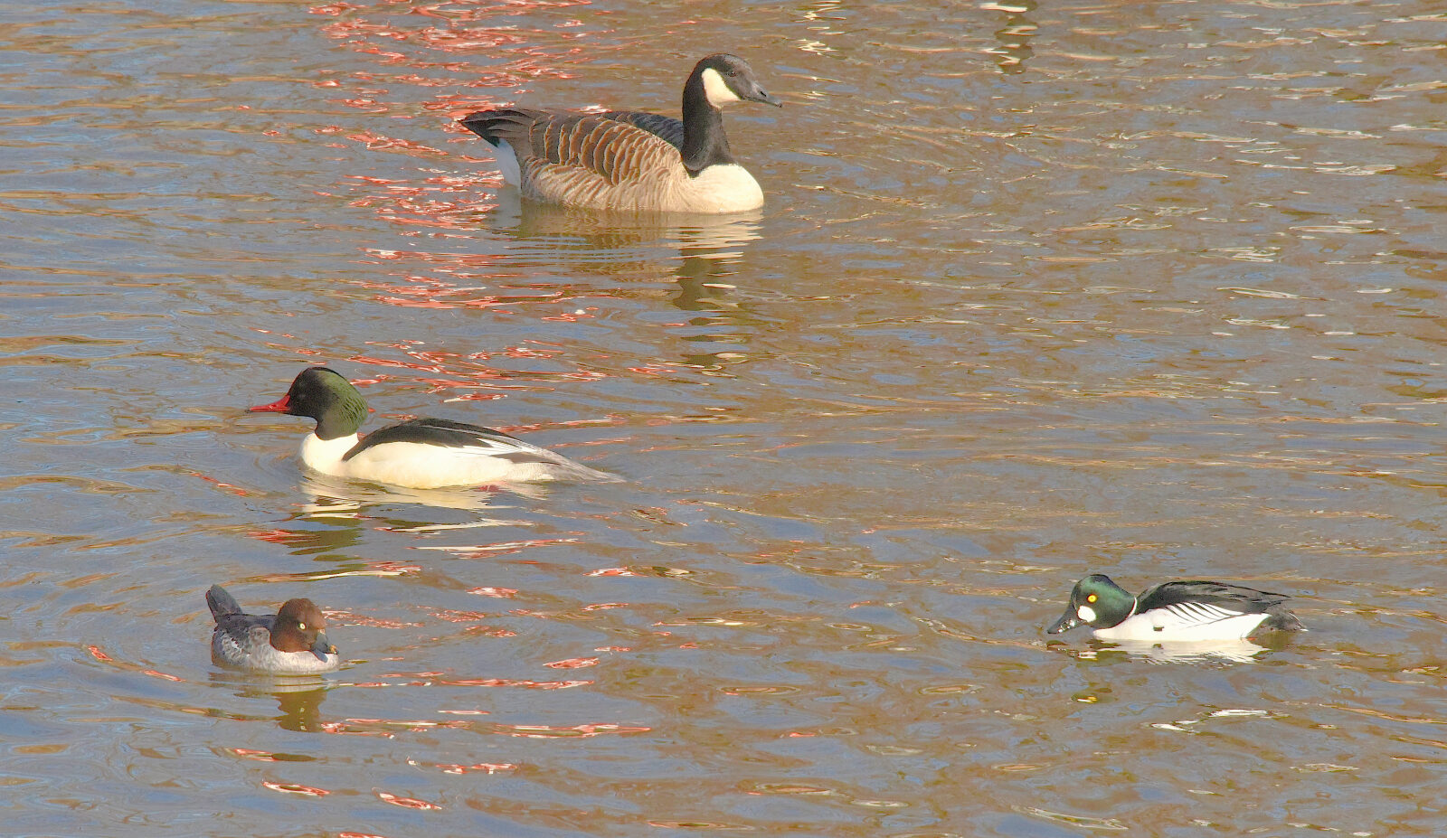Valokuvaaja: Reijo Juurinen