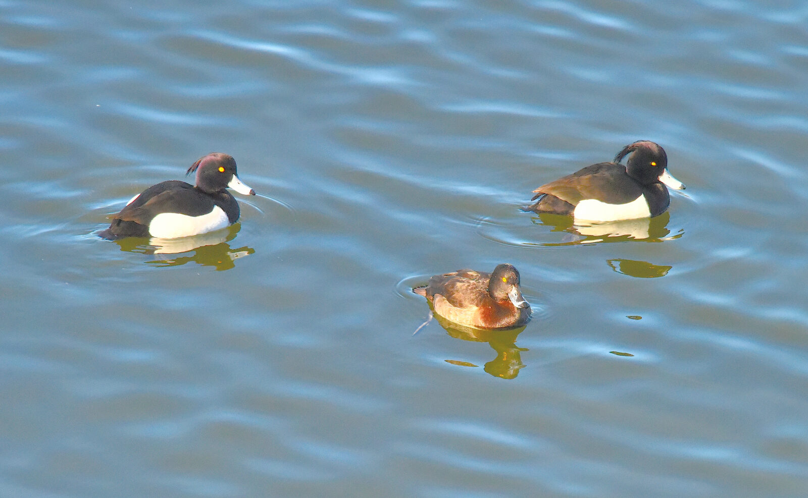 Valokuvaaja: Reijo Juurinen