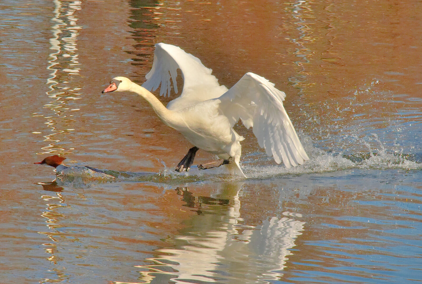 Valokuvaaja: Reijo Juurinen Valokuvaaja: Reijo Juurinen