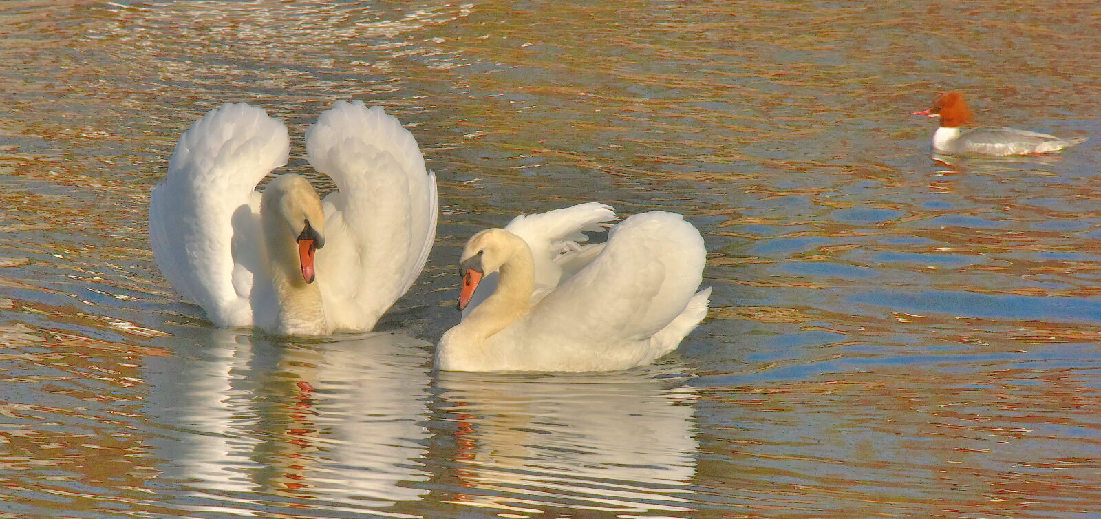 Valokuvaaja: Reijo Juurinen