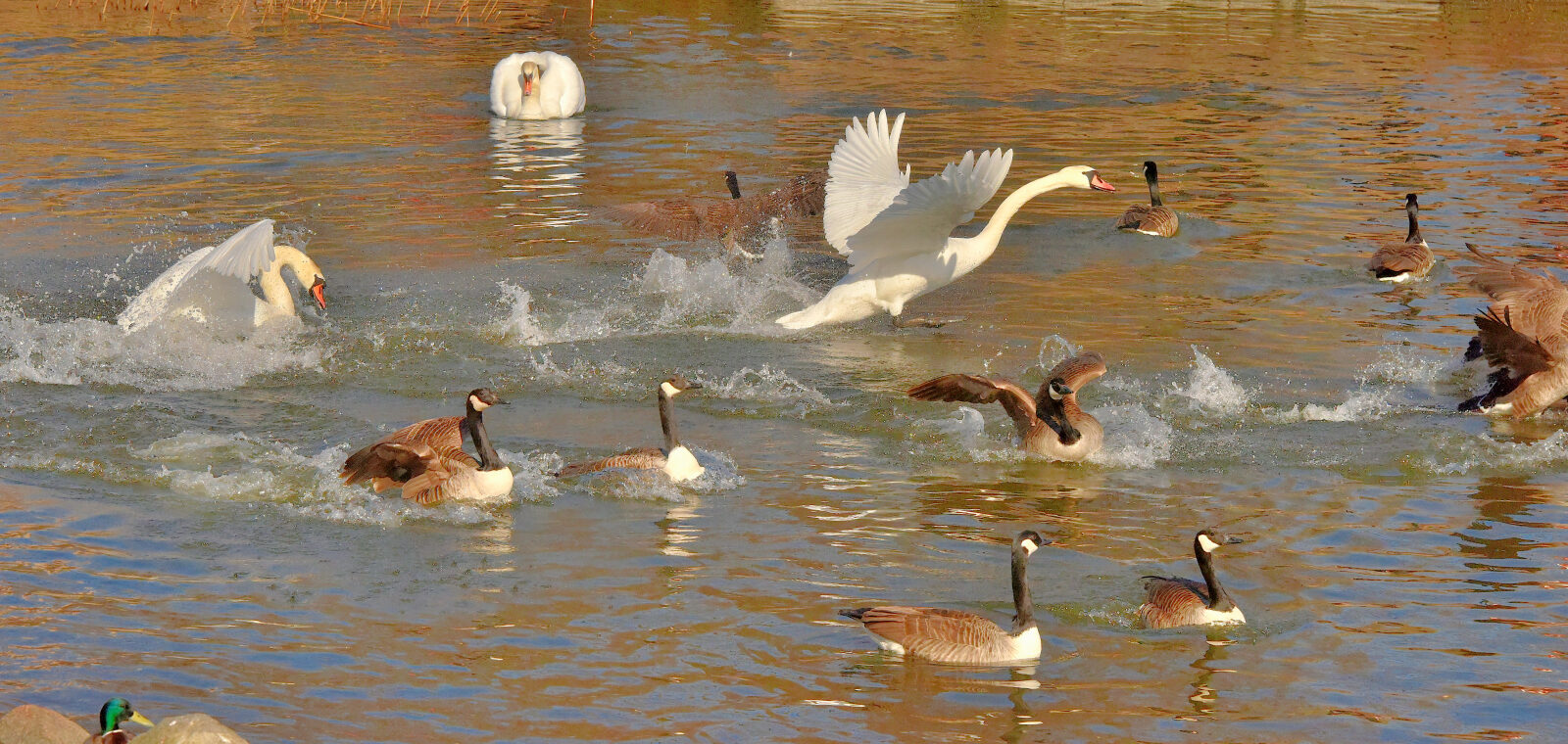Valokuvaaja: Reijo Juurinen
