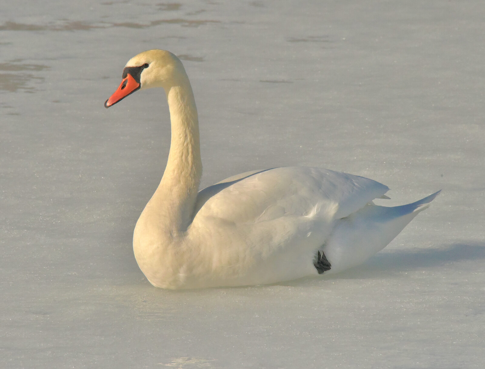 Valokuvaaja: Reijo Juurinen