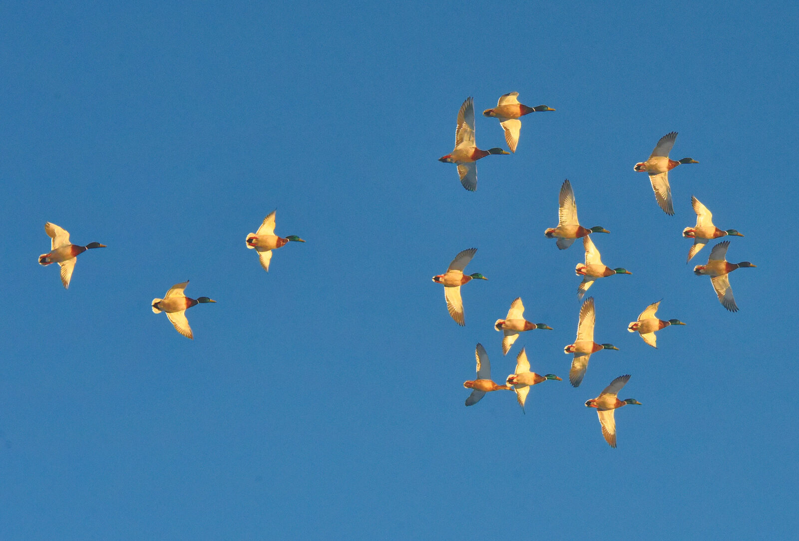 Valokuvaaja: Reijo Juurinen
